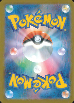Team Rocket's Eorb Back