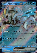 Black Kyurem Ex