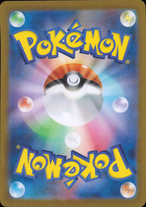 Noibat Back