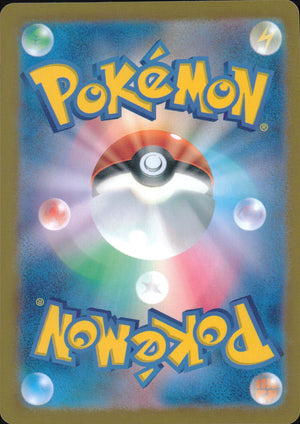 Team Rocket's Nidoking Ex Back