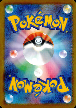 Team Rocket's Watchtower Back
