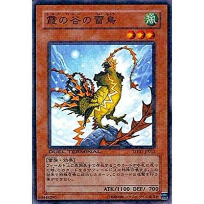 Mist Valley Thunderbird DT01-JP013 C Yu-Gi-Oh OCG Japanese