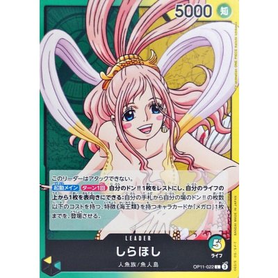 Shirahoshi L Green/Purple Japanese
