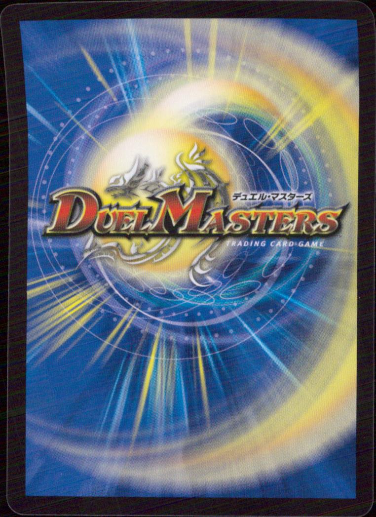 Ryuki Musou Back