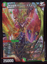 Ryuki Musou