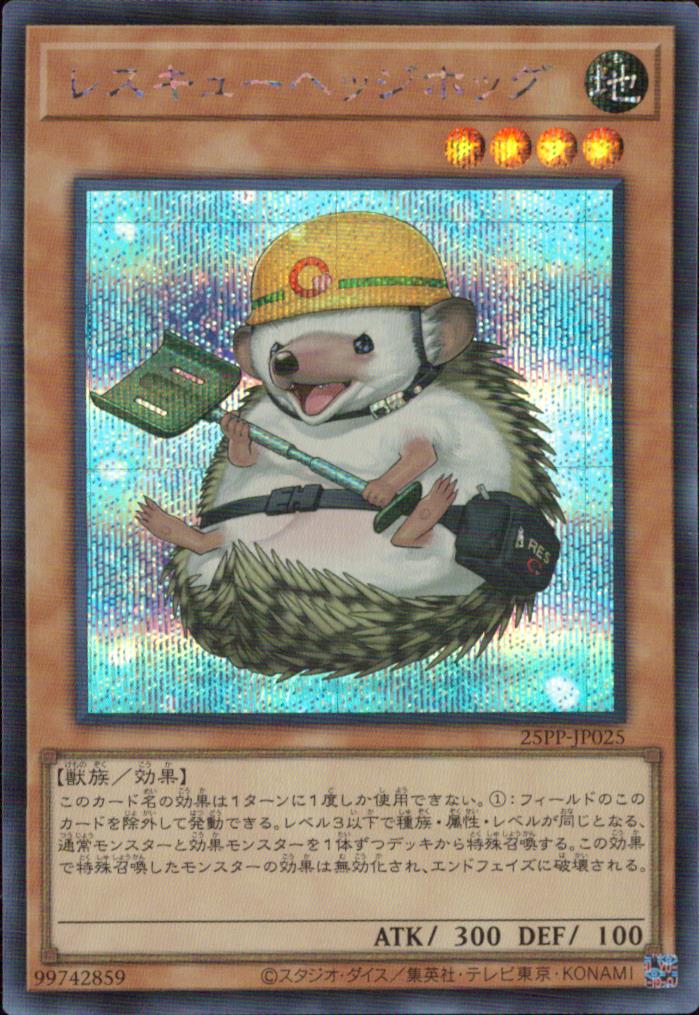 Rescue Hedgehog
