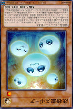 Fairy Cell Spore