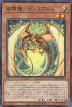 100 Dragon Dragons - Appleblum