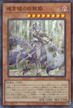 White Silver Princess Of The Labyrinth Castle