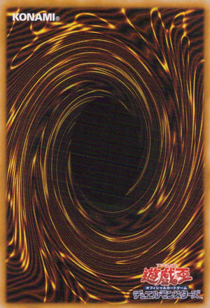 Rivalry of Warlords DBSW-JP045 C Yu-Gi-Oh OCG Japanese NM