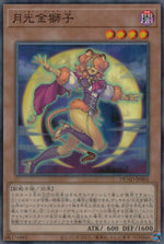 Moonlight Golden Lion