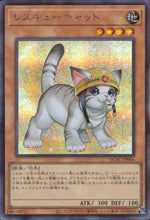 Rescue Cat
