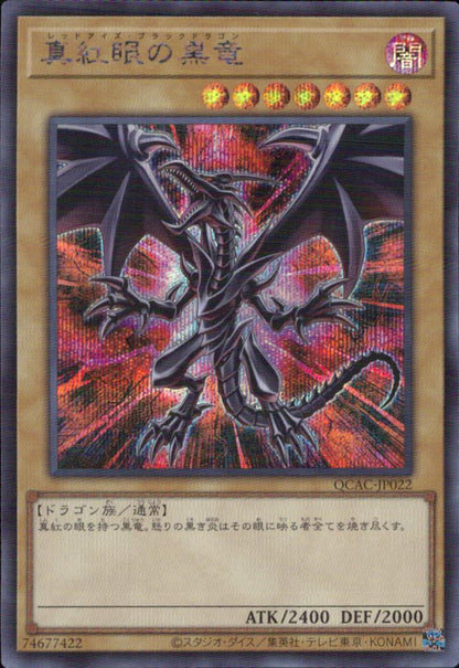 Red-eyed Black Dragon