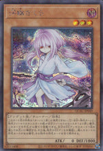 Floating Sakura