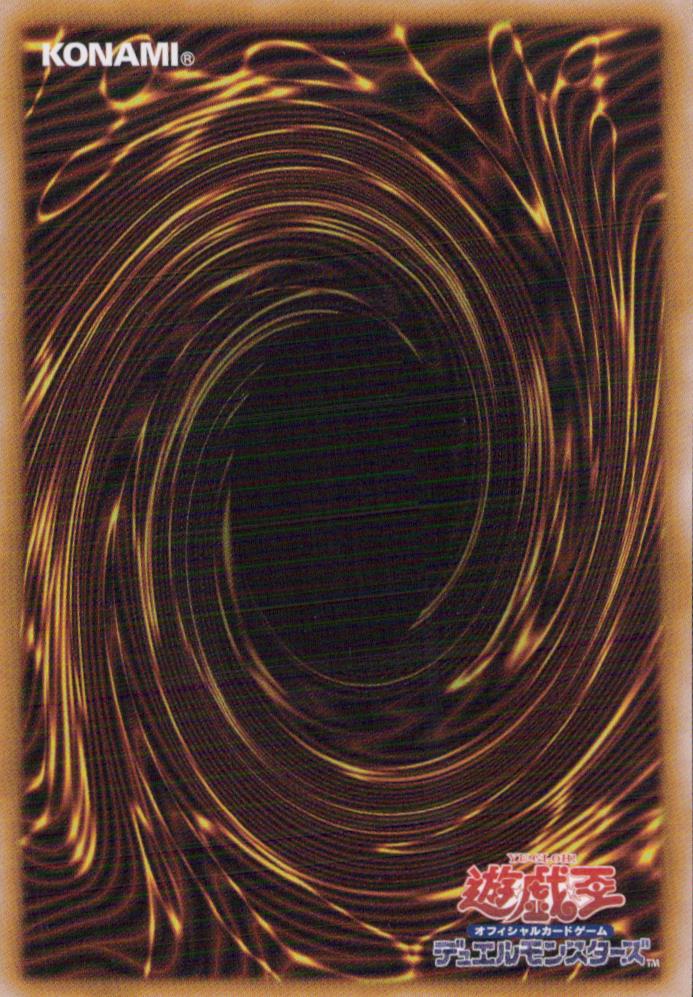 Parallel Exeed Back