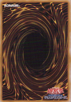 Parallel Exeed Back