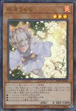 Ash Blossom & Joyous Spring