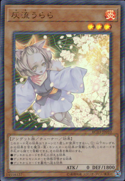 Ash Blossom & Joyous Spring