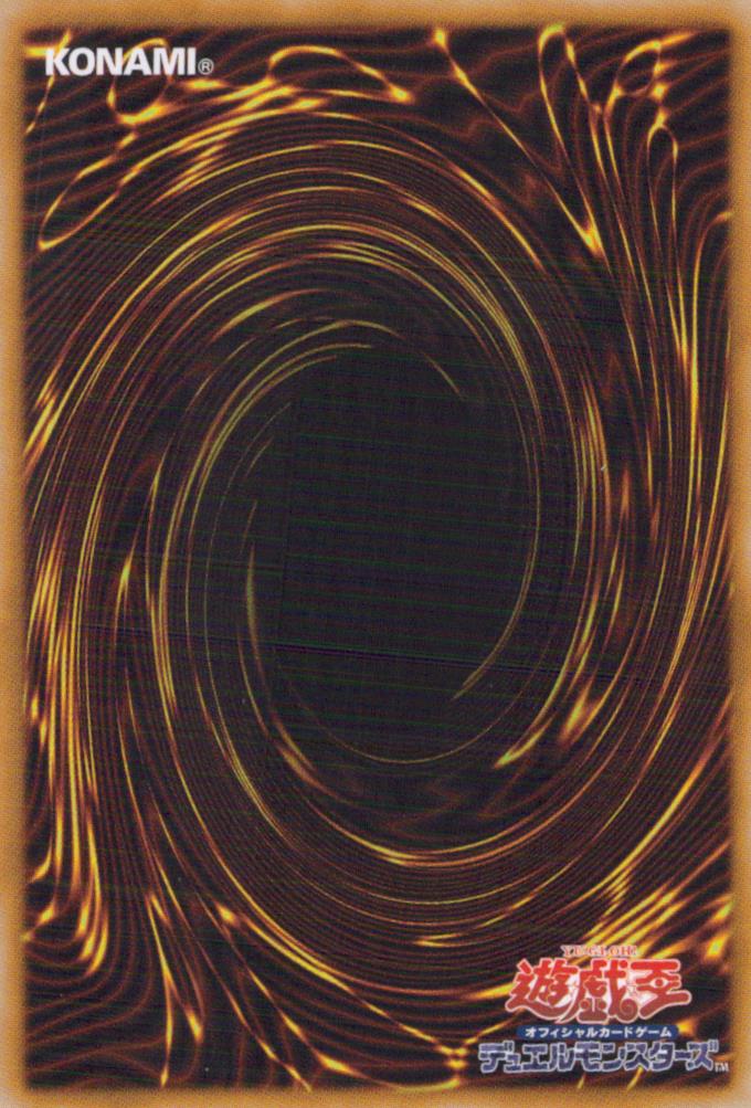 Magician Of The Dark World Snow Back
