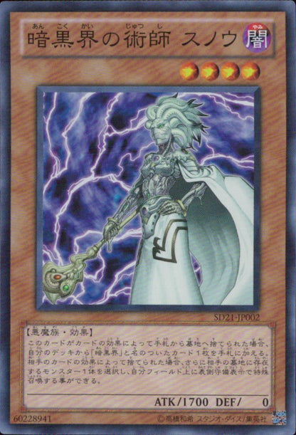 Magician Of The Dark World Snow