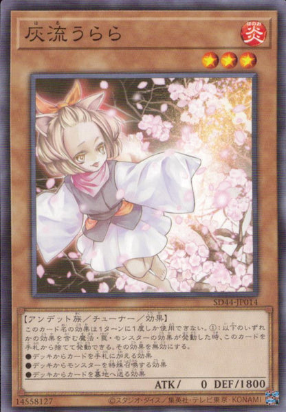 Ash Blossom & Joyous Spring