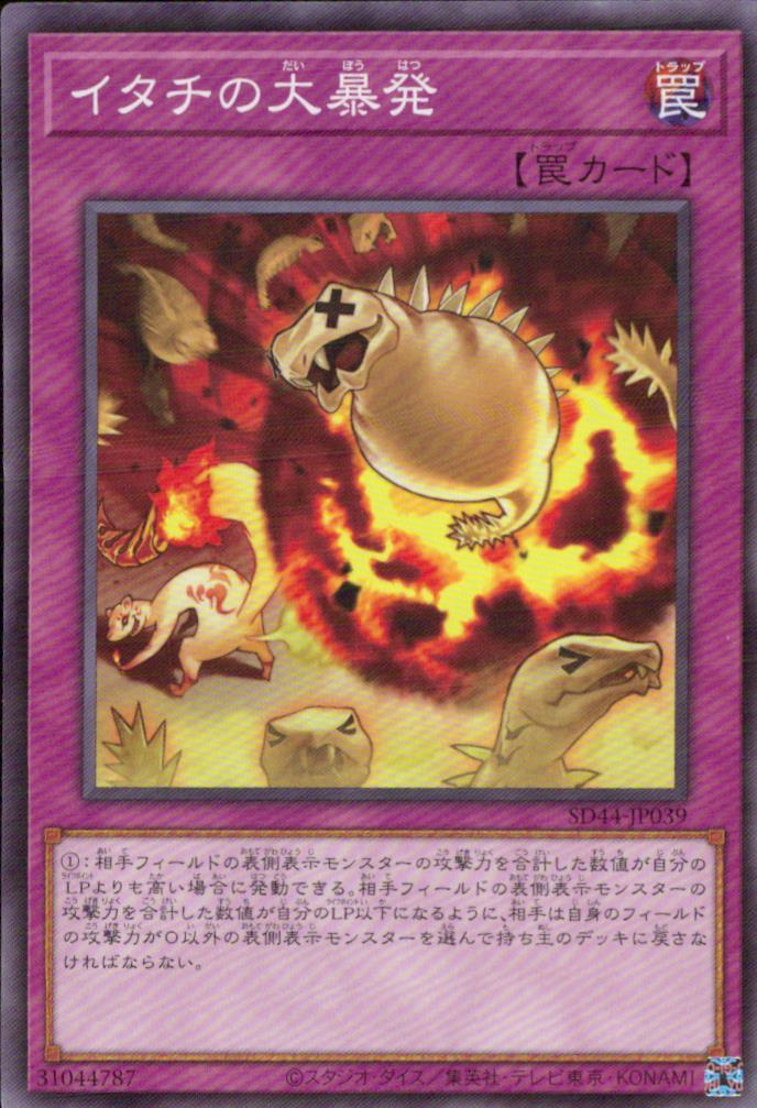 Ferret Flames SD44-JP039 C Yu-Gi-Oh OCG Japanese NM