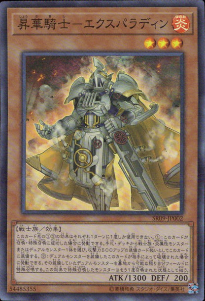 Sublimation Knight - EXPALADIN