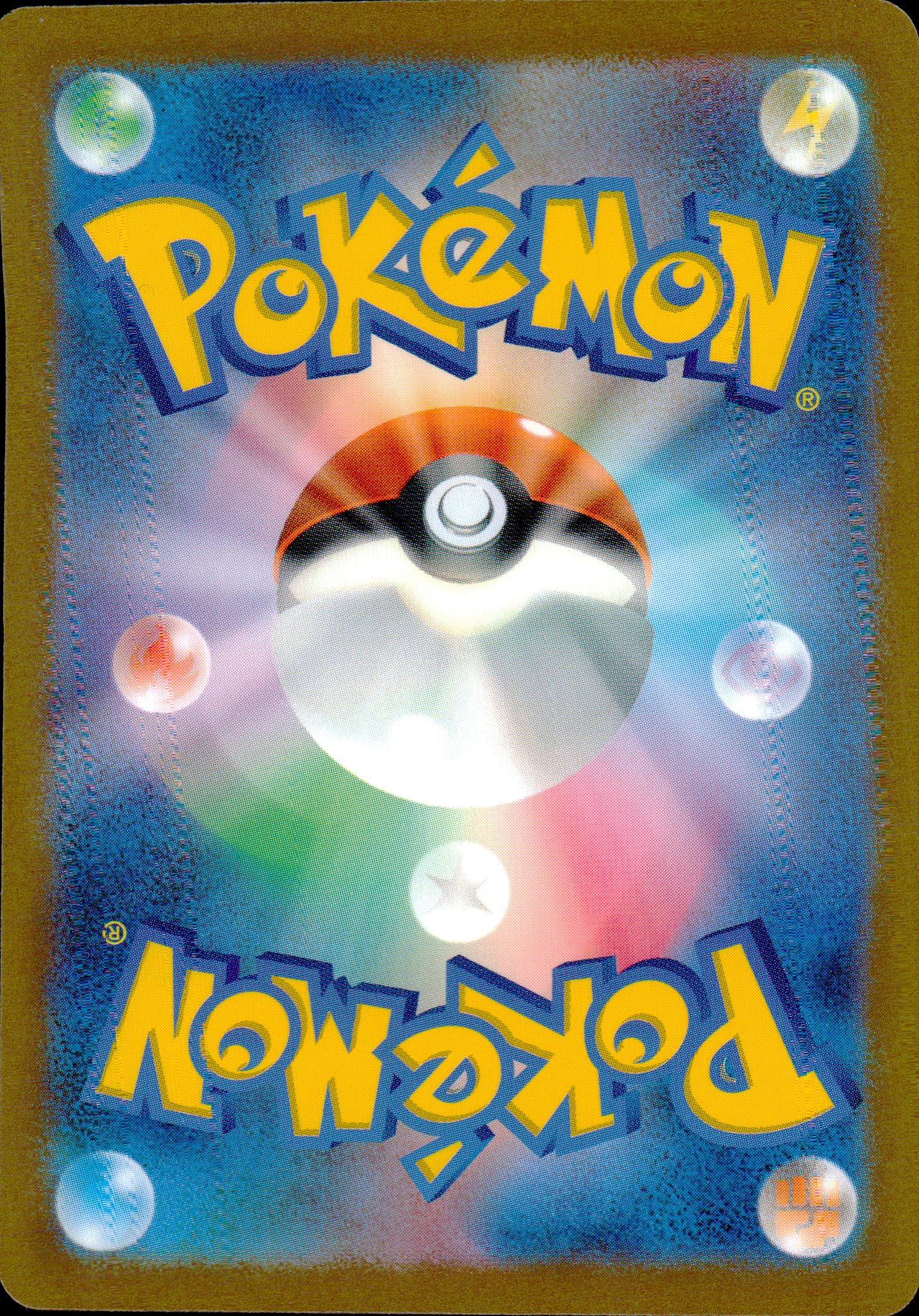 Pokemon Catcher Back